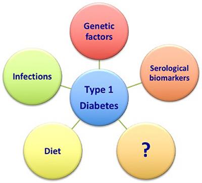 Prediction and Prevention of Type 1 Diabetes